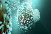 Effectiveness of CAR-T therapy could be indicated by presence of stem cell memory T cells